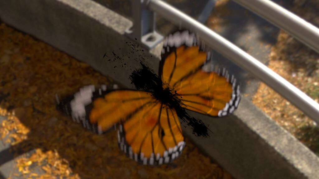 A butterfly! (It's all about change: It's a metamorphosis)